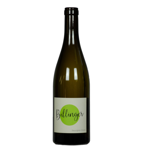 Billinger Sauvignon Blanc 2022