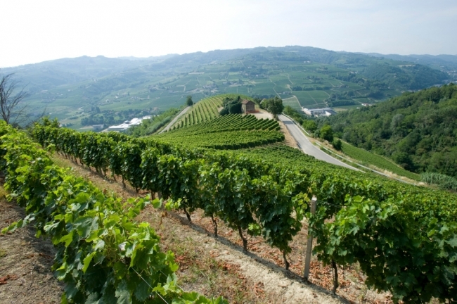 Piemont Weinreise Mai 2017 - Teil 1 